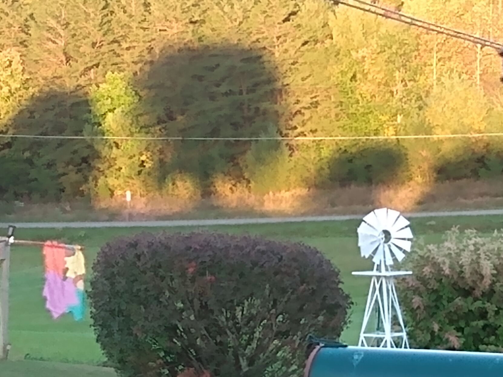 trees in distance.jpg